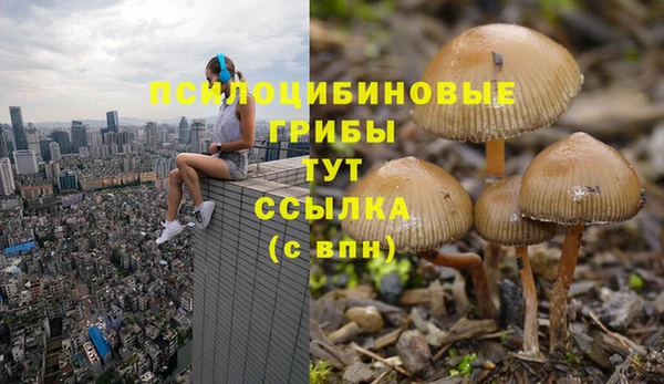 таблы Арсеньев