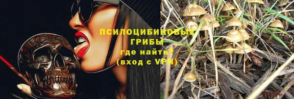 круглые Аркадак